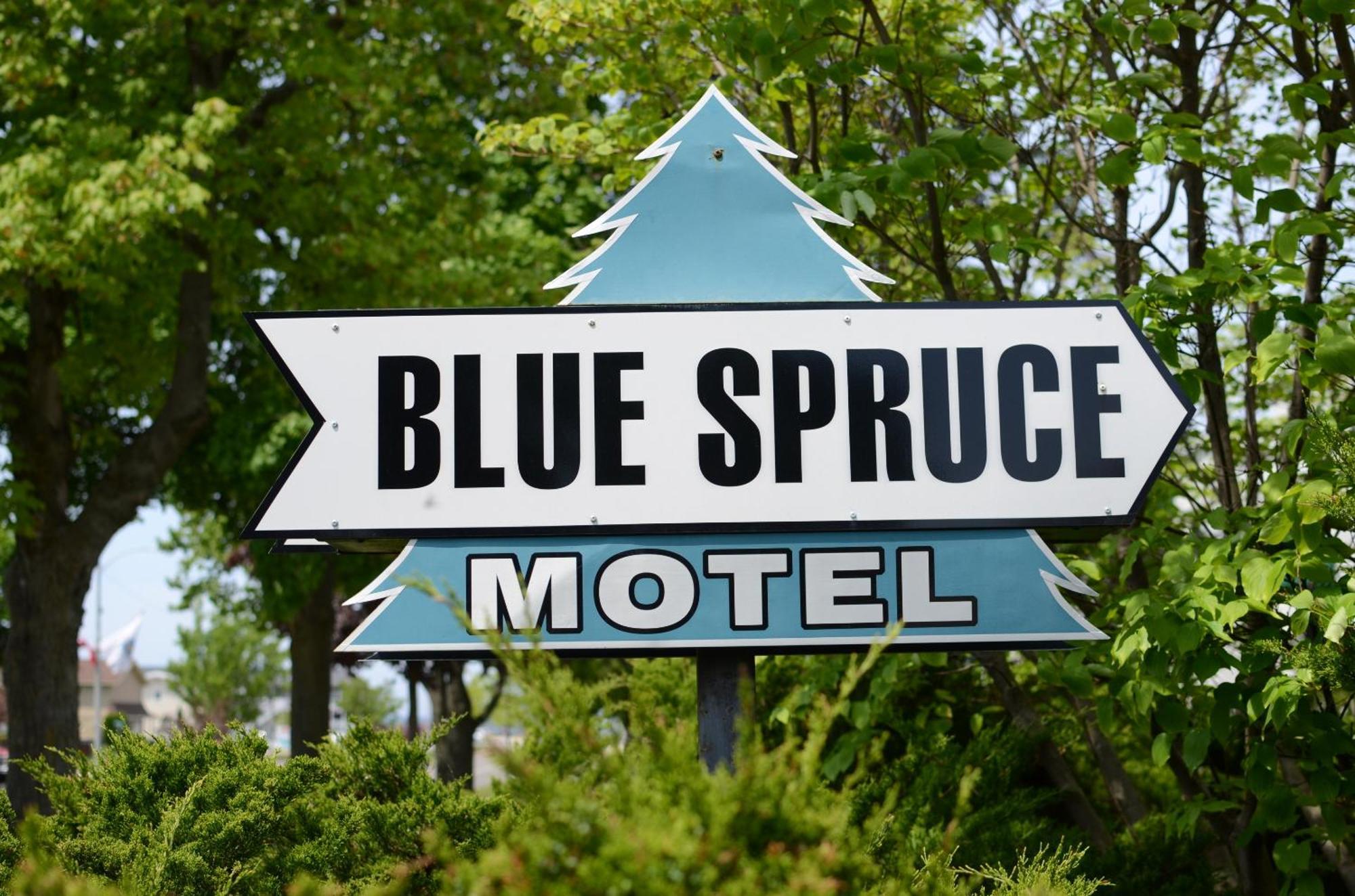 Ludington Blue Spruce Inn Exterior foto